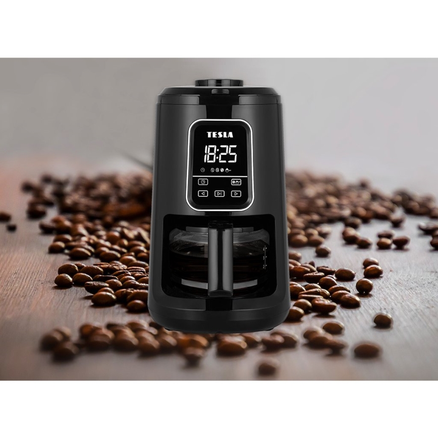 TESLA Electronics - Kaffebryggare med kvarn 2-i-1 900W/230V
