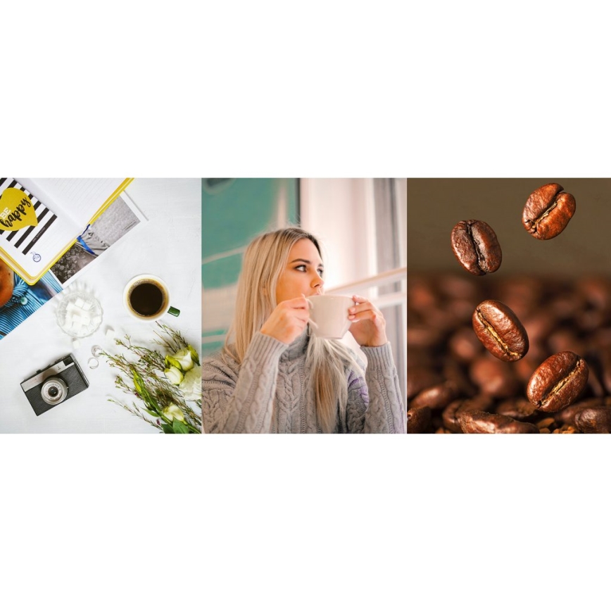 TESLA Electronics - Kaffebryggare med kvarn 2-i-1 900W/230V