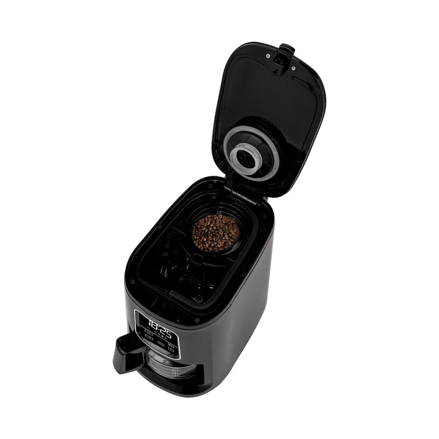 TESLA Electronics - Kaffebryggare med kvarn 2-i-1 900W/230V