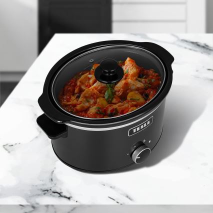 TESLA Electronics SlowCook - Långkokare 3,5 l 200W/230V