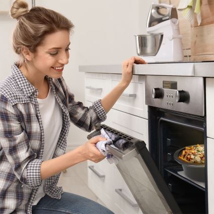 TESLA Electronics SlowCook - Långkokare 6,5 l 270W/230V