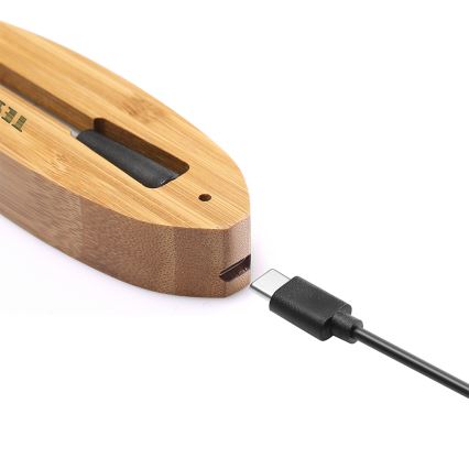 TESLA Electronics - Smart kötttermometer med laddningsställ 0-300 °C 5V IP67