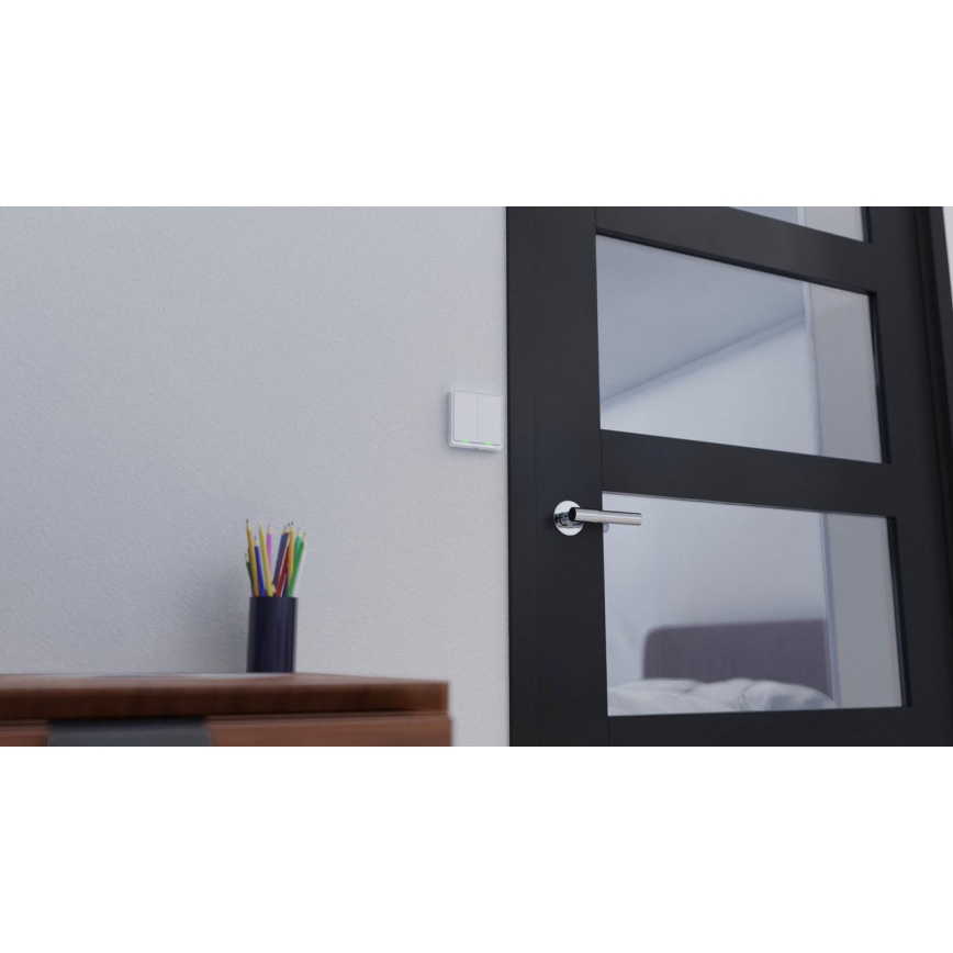 TESLA Smart - Smart hemströmbrytare 2-polig 230V Wi-Fi