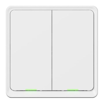 TESLA Smart - Smart hemströmbrytare 2-polig 230V Wi-Fi