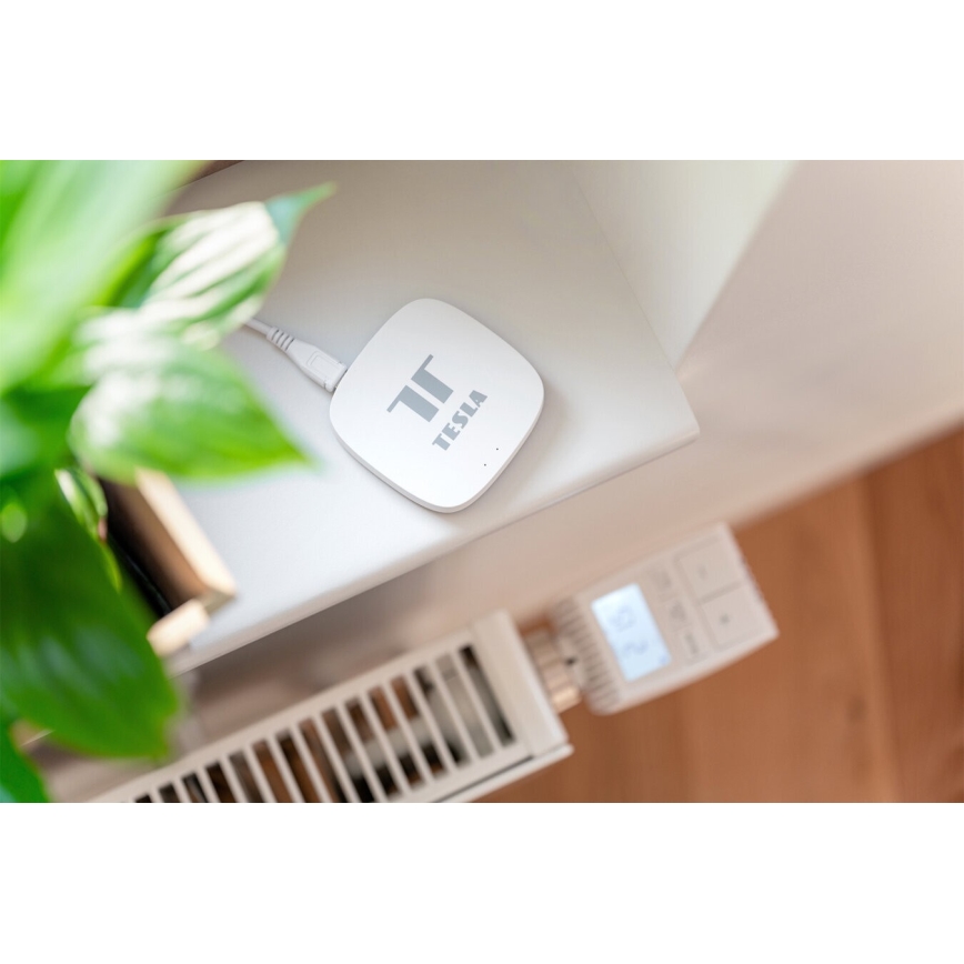 TESLA Smart - Smart port Hub Smart Zigbee Wi-Fi