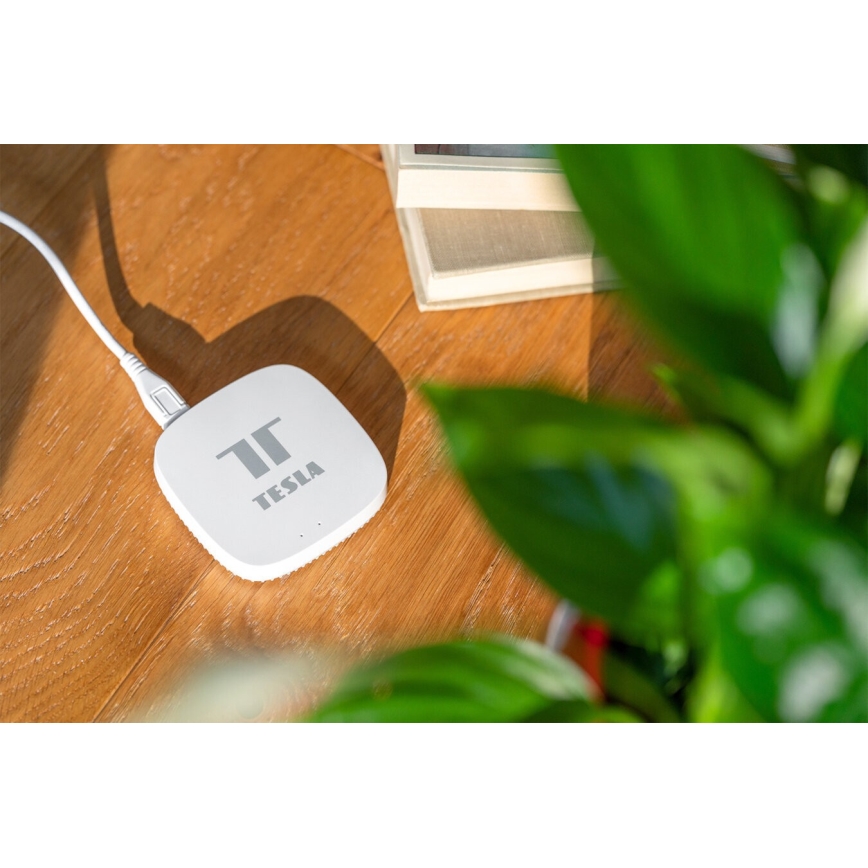 TESLA Smart - Smart port Hub Smart Zigbee Wi-Fi