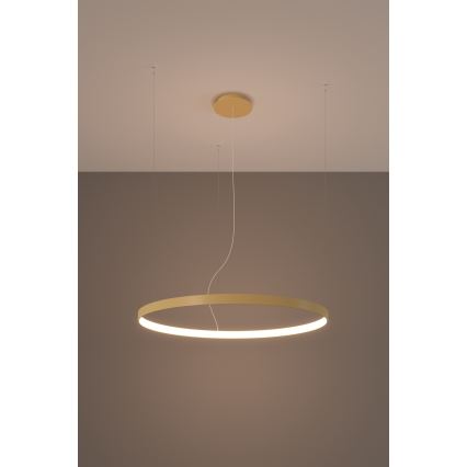 Thoro TH.174 - LED ljuskrona med textilsladd RIO LED/50W/230V CRI 90 3000K diameter 78 cm guld