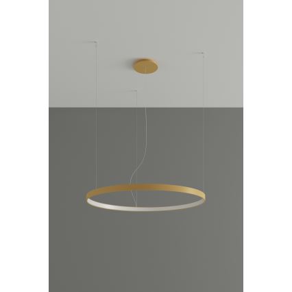 Thoro TH.216 - LED ljuskrona med textilsladd RIO LED/30W/230V CRI 90 3000K diameter 55 cm guld
