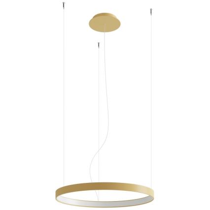 Thoro TH.216 - LED ljuskrona med textilsladd RIO LED/30W/230V CRI 90 3000K diameter 55 cm guld