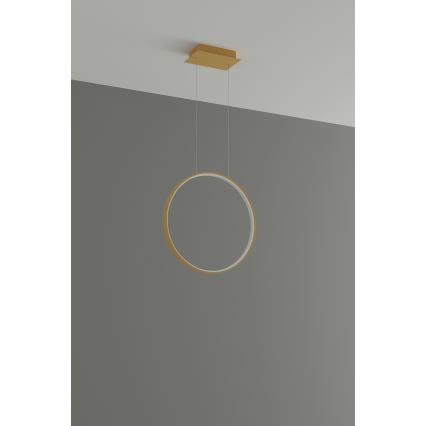 Thoro TH.220 - LED ljuskrona med textilsladd RIO LED/30W/230V CRI 90 3000K diameter 55 cm guld