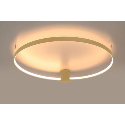 Thoro TH.222 - LED taklampa RIO LED/21W/230V CRI 98 3000K Ø 55 cm guldfärgad