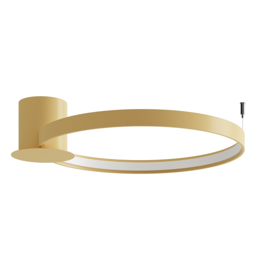 Thoro TH.223 - LED-taklampa RIO LED/30W/230V CRI 98 4000K Ø 55 cm guld