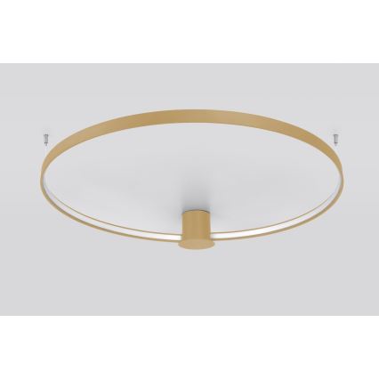 Thoro TH.224 - LED taklampa RIO LED/50W/230V CRI 90 3000K diameter 78 cm guld
