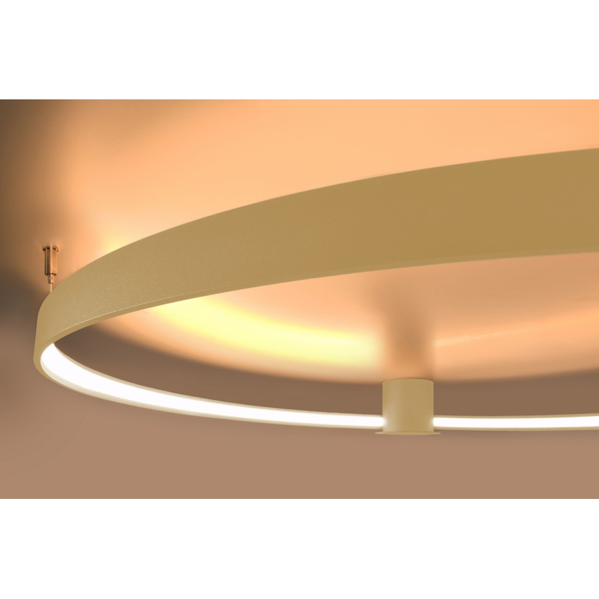 Thoro TH.224 - LED taklampa RIO LED/50W/230V CRI 90 3000K diameter 78 cm guld