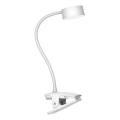 Top Light - Beröringsstyrd dimbar LED-bordslampa med klämma BELLA LED/4,8W/5V 3000-6500K vit