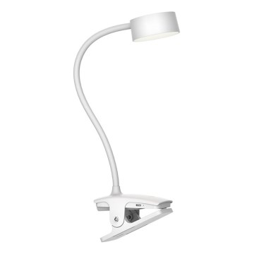 Top Light - Beröringsstyrd dimbar LED-bordslampa med klämma BELLA LED/4,8W/5V 3000-6500K vit