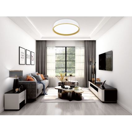 Top Light - LED Dimbar taklampa DEKOR LED/51W/230V diameter 50 cm 3000-6500K + fjärrkontroll