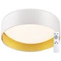 Top Light - LED Dimbar taklampa IVONA 40B +Fjärrkontrol LED/24W/230V + fjärrkontroll vit