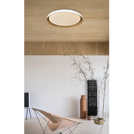 Top Light - LED Dimbar taklampa SATELLITE LED/36W/230V 3000-6500K diameter 43 cm vit/brun + fjärrkontroll