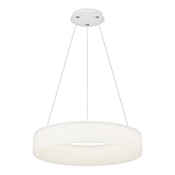 Top Light - LED-dimmbar hänglampa på vajer HALO LED/60W/230V 3000-6500K diam. 60 cm + fjärrkontroll