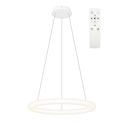 Top Light - LED-dimbar pendel på vajer RINGO LED/40W/230V 3000-6500K vit + fjärrkontroll