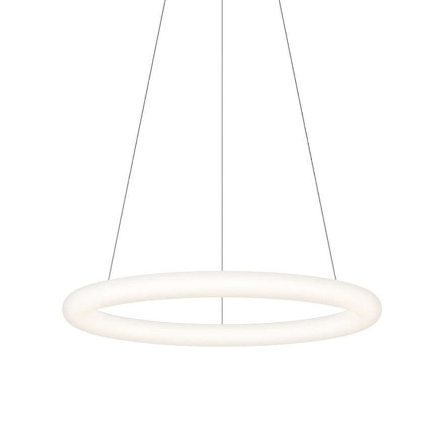 Top Light - LED-dimbar pendel på vajer RINGO LED/40W/230V 3000-6500K vit + fjärrkontroll