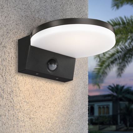 Top Light - LED Utomhus vägglampa med sensor NOVARA LED/15W/230V IP65 svart
