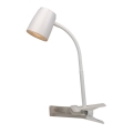 Top ljus Mia KL B - LED-lampa med klämma LED/4,5W/230V vit