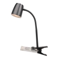 Top ljus Mia KL C - LED-lampa med klämma LED/4,5W/230V svart