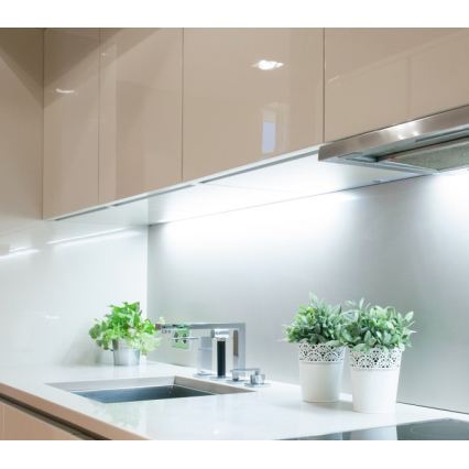 TRAMO LED-remsa LED/500W/12V 50m 6500K