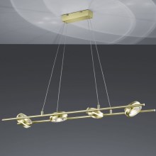 Trio - LED Ljuskrona med snöre LEICESTER 8xLED/4W/230V