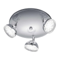Trio - LED Spotlight BOLOU 3xLED/3,8W/230V