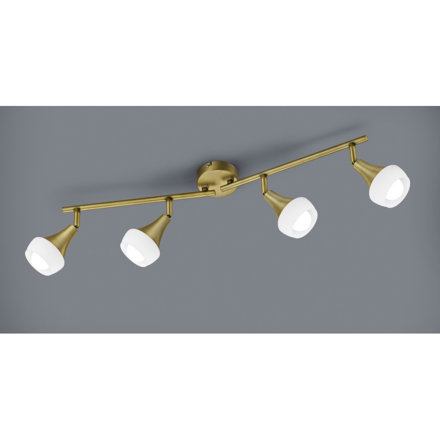 TRIO - Spotlight TRUMPET 4xE14/40W/230V