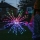 Twinkly - LED RGB Ljusreglerad utomhus poinsettia SPRITZER 200xLED IP44 Wi-Fi