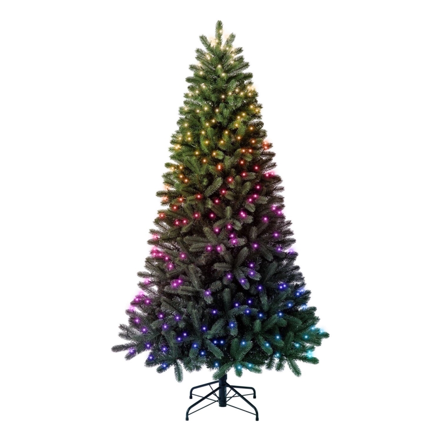 Twinkly - LED RGBW Dimmbar julgran TREE 435xLED 2,1 m Wi-Fi