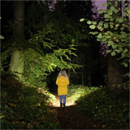 Uppladdningsbar LED-ficklampa 2xLED/3W/5V 210 lm 1200 mAh svart