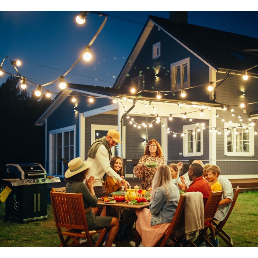 Utomhus Dekorativ slinga MIMOSA 10xE27/1,3W/230V IP44 10 m