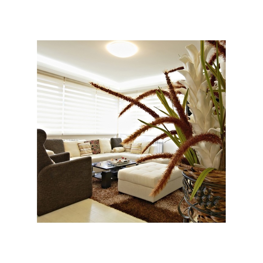 Utomhus LED Takbelysning NELA LED/20W/230V IP44