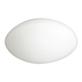Utomhus LED Takbelysning PETRA LED/12W/230V IP44