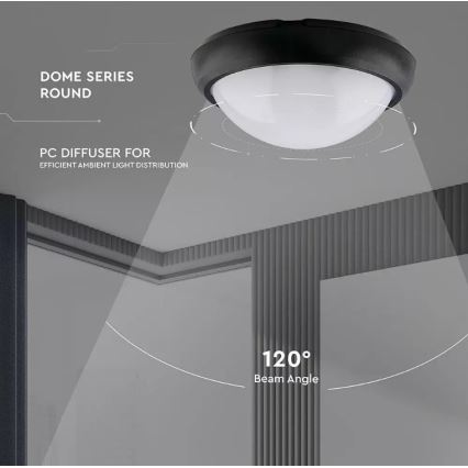 Utomhus LED taklampa  LED/12W/230V IP54