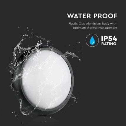 Utomhus LED taklampa  LED/12W/230V IP54