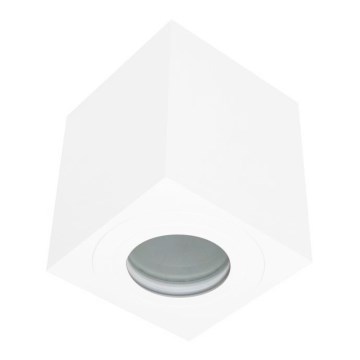 Utomhus spotlight SARA 1xGU10/30W/230V IP54 vit