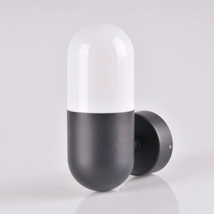 Utomhus Väggbelysning HORTEN 1xE27/10W/230V IP44