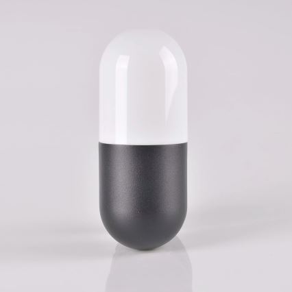 Utomhus Väggbelysning HORTEN 1xE27/10W/230V IP44