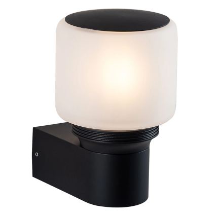 Utomhus vägglampa MADRID 1xE27/12W/230V IP44 svart