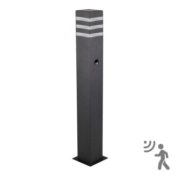 Utomhuslampa med sensor TEKSAS 1xE27/12W/230V IP44 74 cm antracit