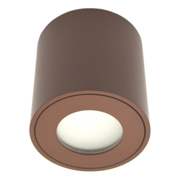 Utomhusspot FARA 1xGU10/30W/230V IP54 brun