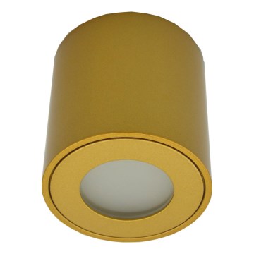 Utomhusspotlampa FARA 1xGU10/30W/230V IP54 guldfinish