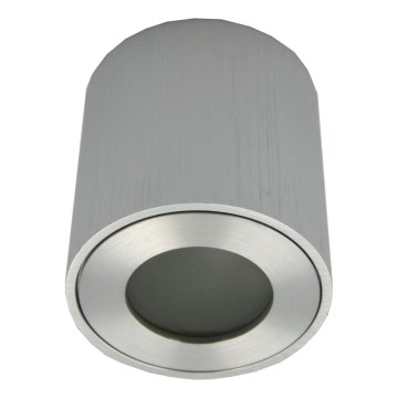 Utomhusspotlampa FARA 1xGU10/30W/230V IP54 silverfärgad
