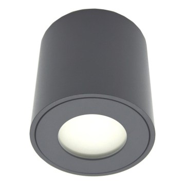 Utomhusspotlight FARA 1xGU10/30W/230V IP54 svart